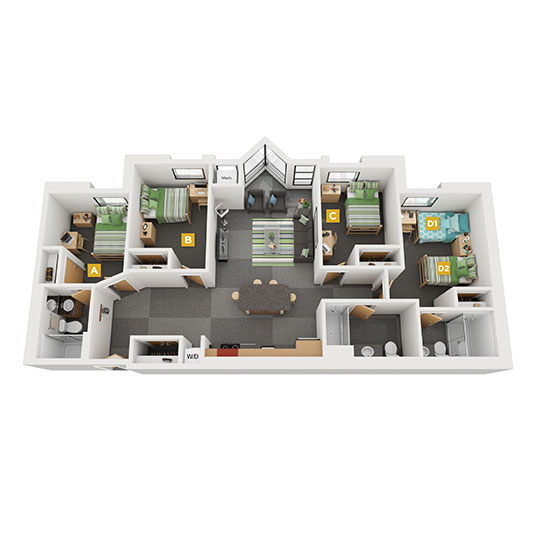 D1 Double Occupancy Rendering