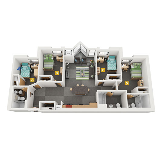 D1 Rendering