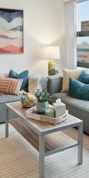 furnished living space